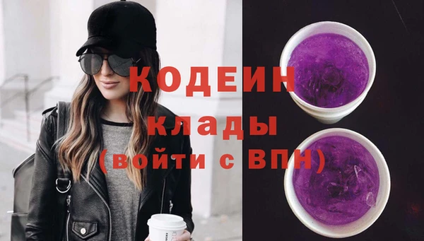 сатива Надым