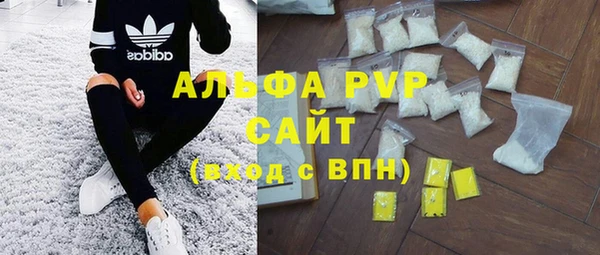 сатива Надым