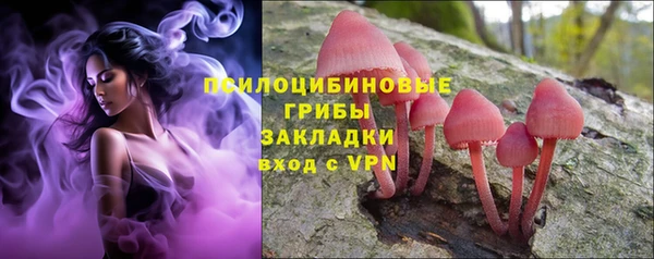 прущая мука Вуктыл